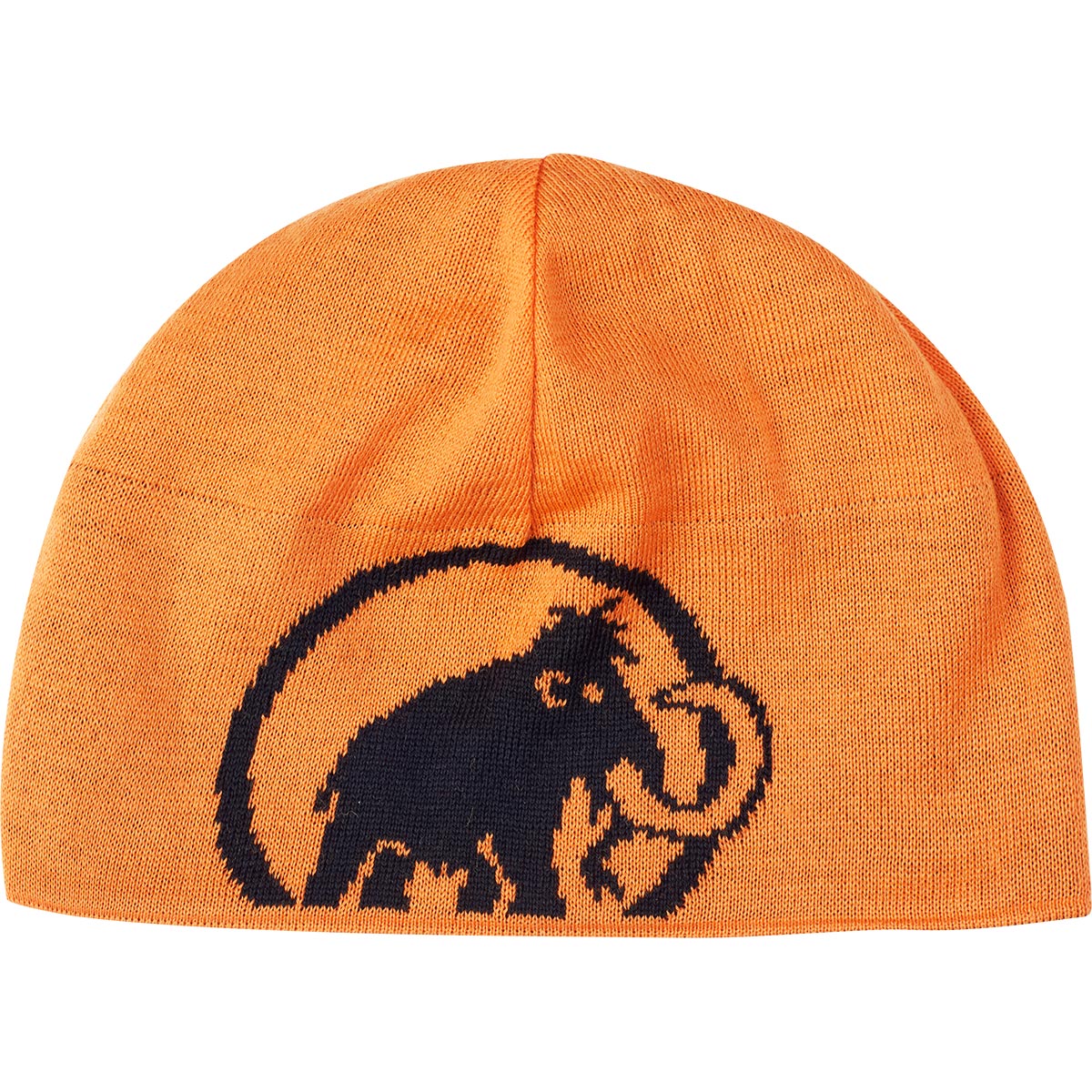 Mammut logo beanie new arrivals