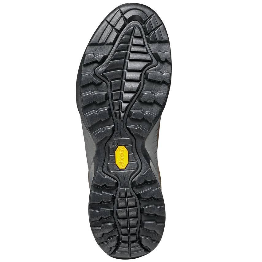 SCARPA Mojito GTX shoes