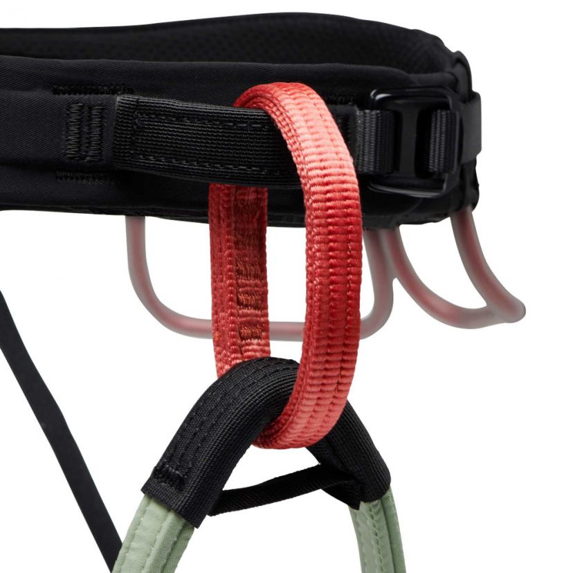 Black Diamond Momentum Harness Kit product information/review. 