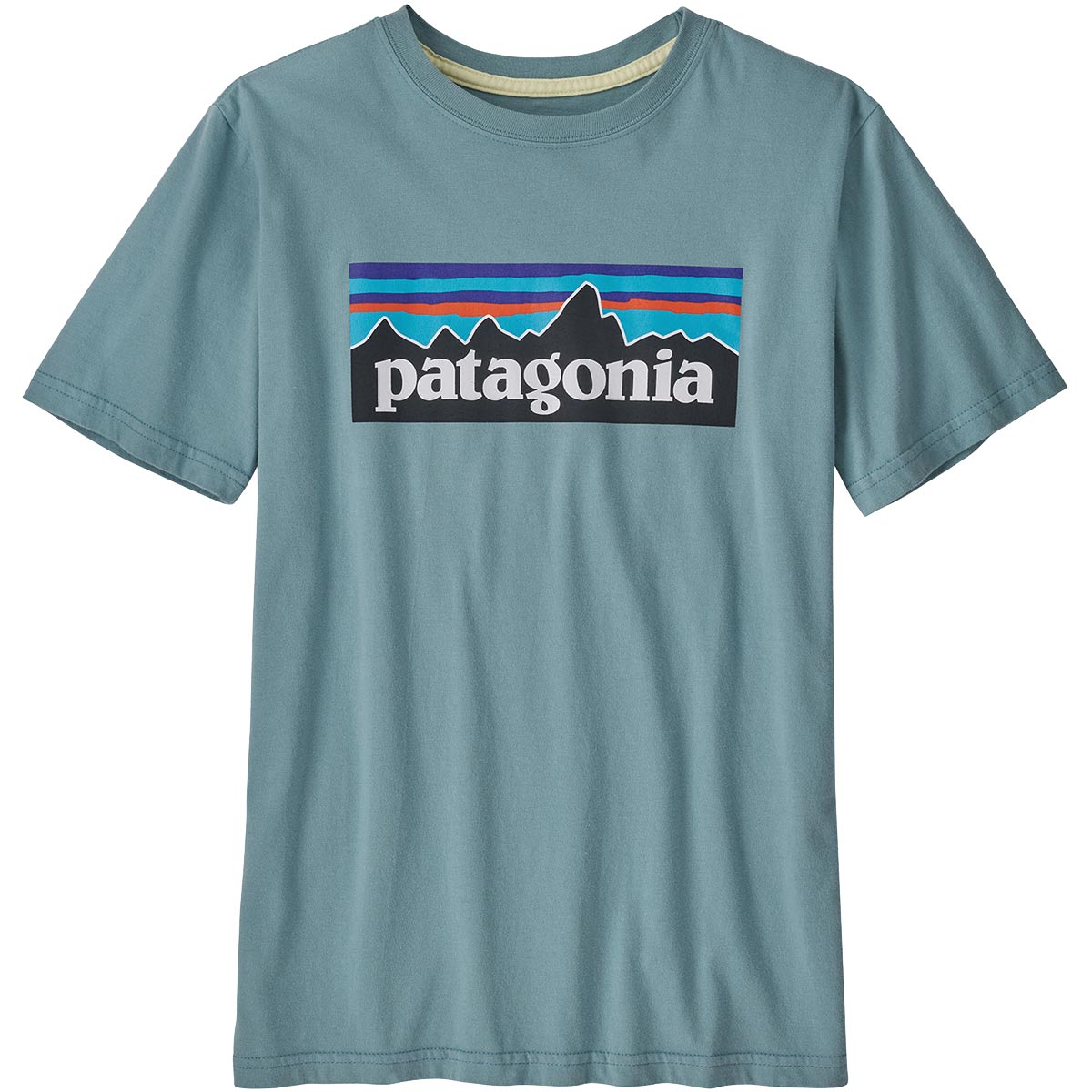 Patagonia Boys Regularenerative Organic Certified Cotton P 6 Logo kid s t shirts