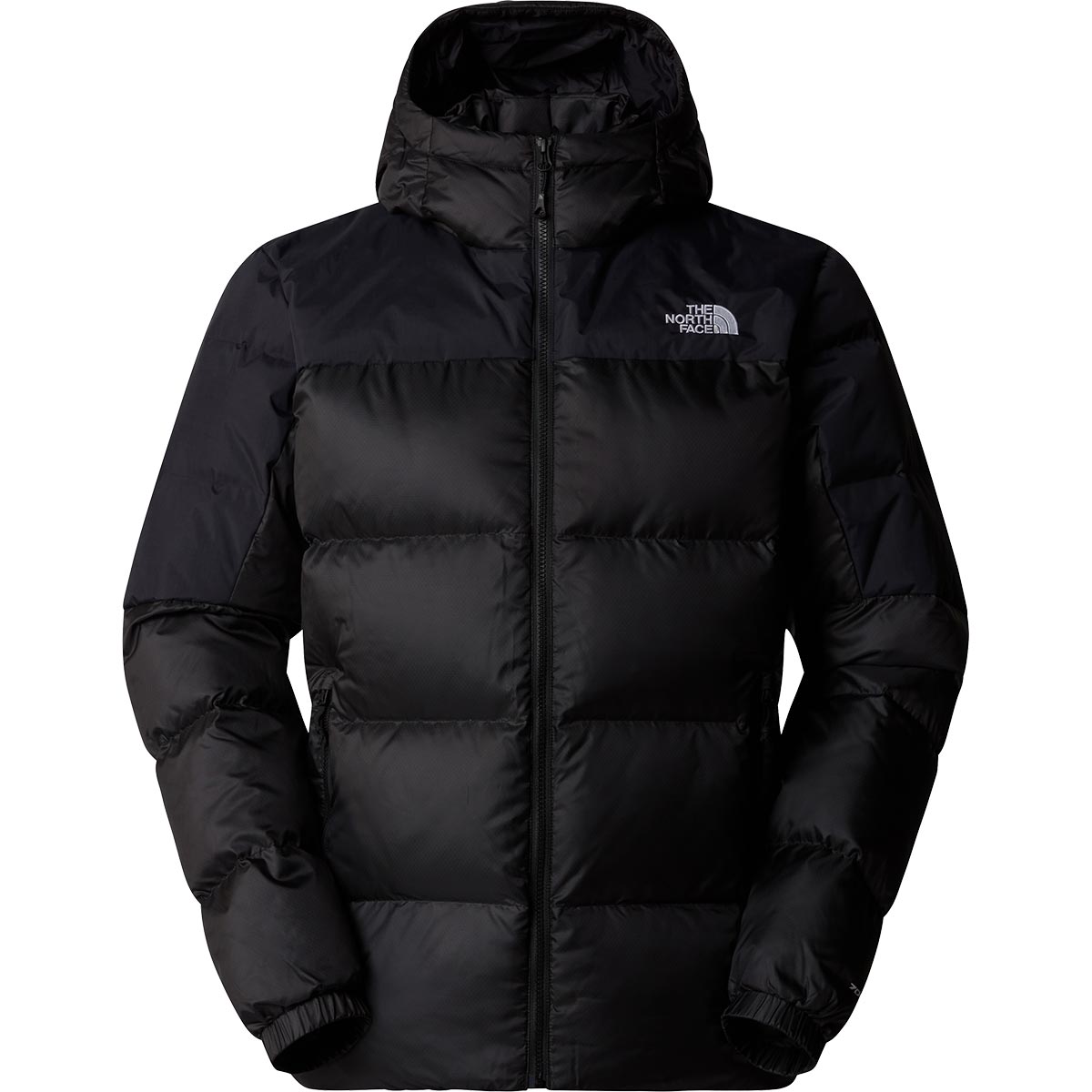 North face nevero down jacket online