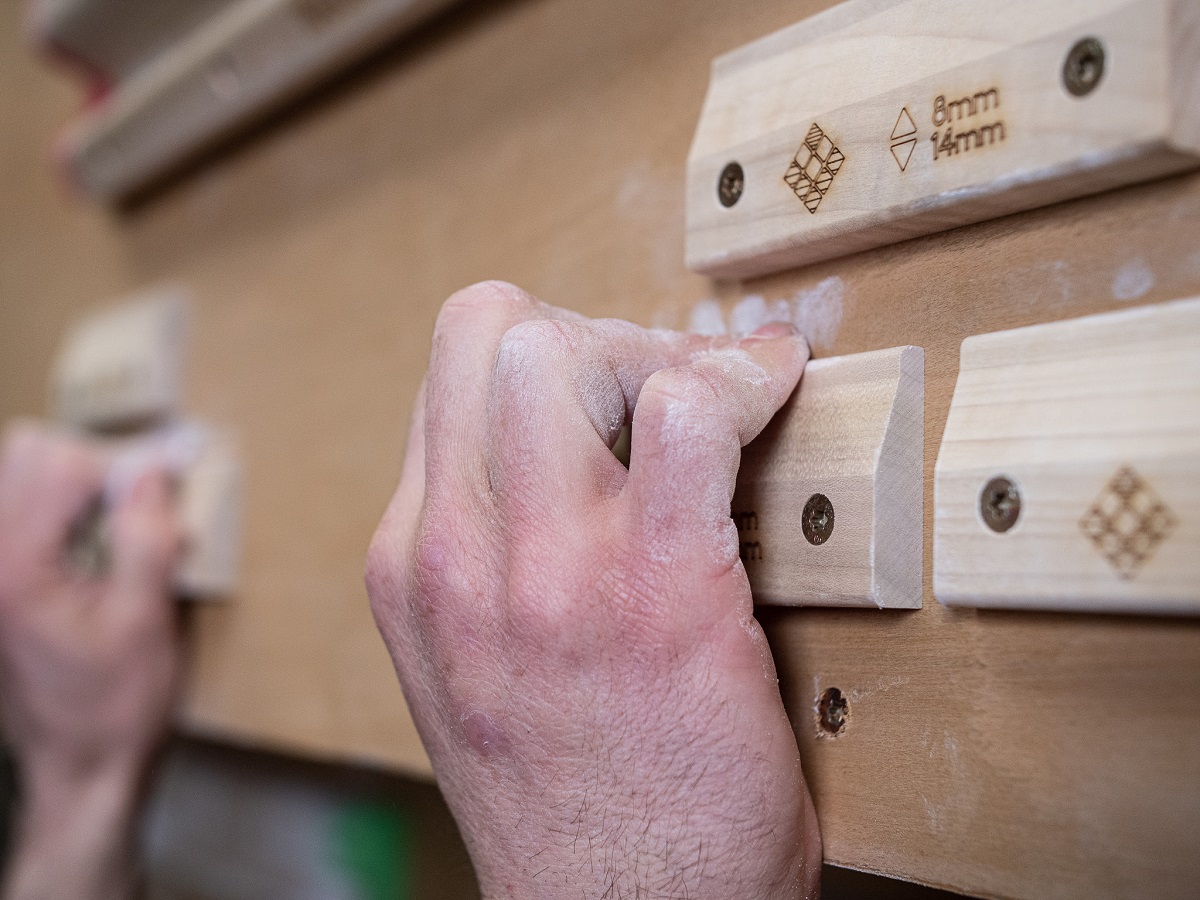 Lattice Training Micros Holds 6 climbing micro crimps