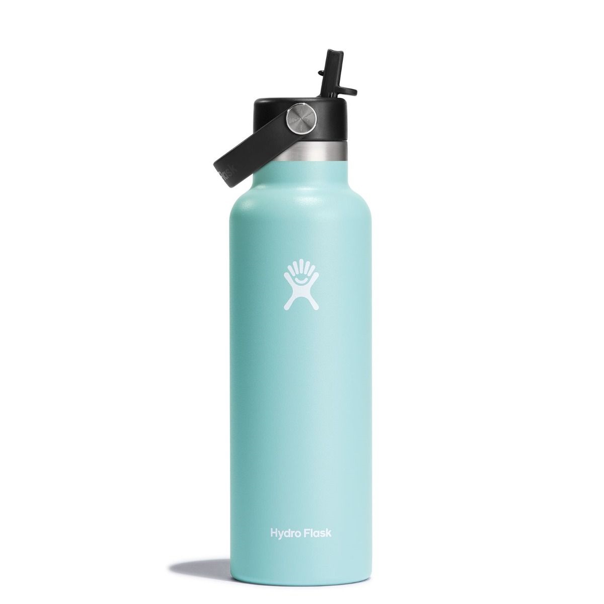 Hydro Flask 21 OZ 621 ml Standard Mouth with Flex Straw Cap bouteille isotherme