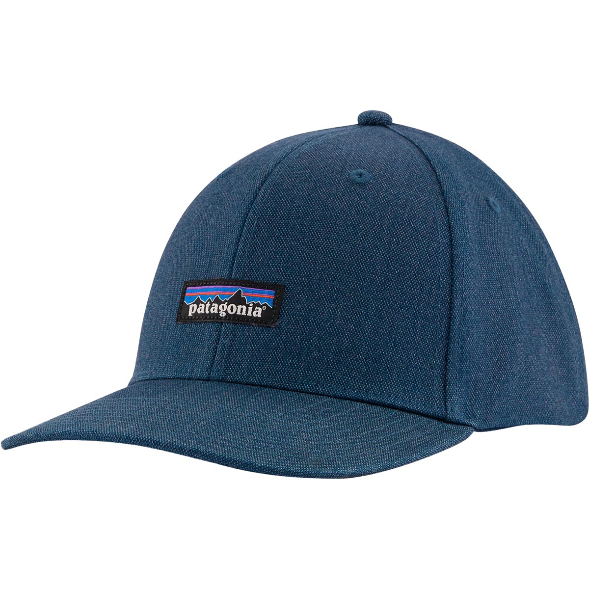 Patagonia snapback store
