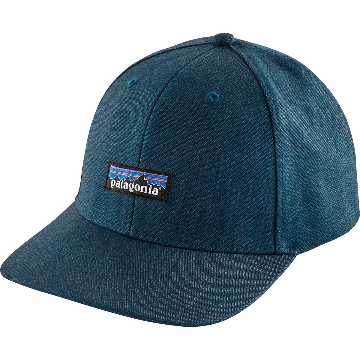 Patagonia Tin Shed P-6 Logo hat